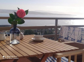 San Vicente Views